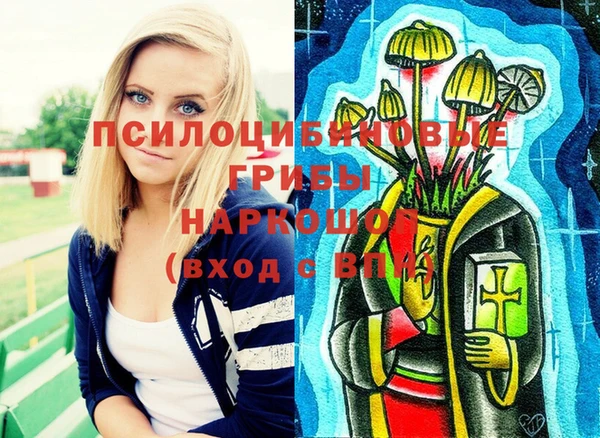 метадон Алексеевка