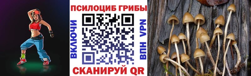 площадка официальный сайт  Таруса  Псилоцибиновые грибы MAGIC MUSHROOMS 